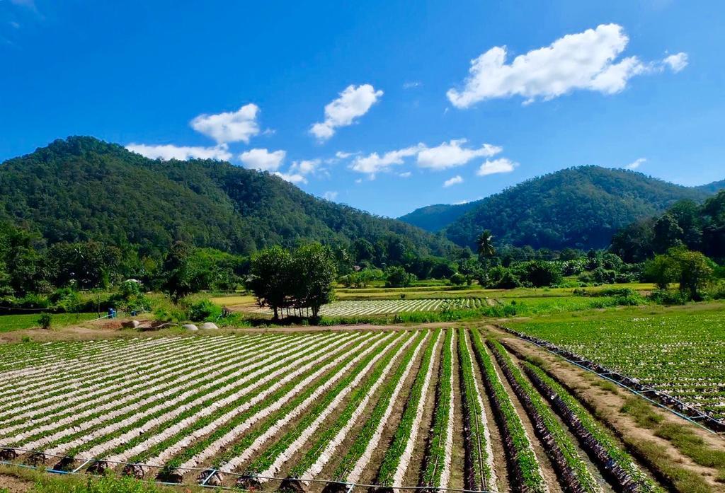 Вилла Wongwan Farm Samoeng Экстерьер фото